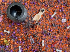 Met deze halloweenmix compleet beleef je jouw eigen avonturen, keer op keer.