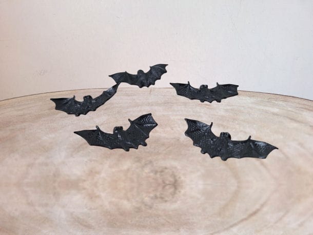 deze vleermuizen maken Halloween compleet